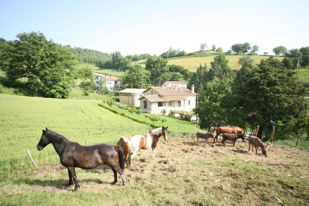 Willa Borgo Di Cortolla Pietralunga  Zewnętrze zdjęcie